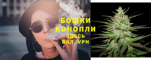 mix Белокуриха