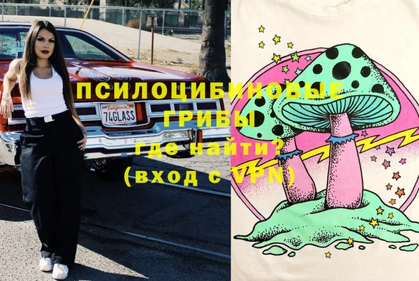 PSILOCYBIN Наволоки