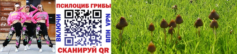 MEGA как войти  Реутов  Галлюциногенные грибы MAGIC MUSHROOMS 